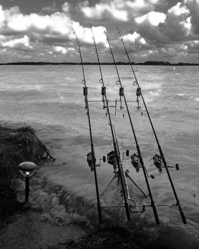 tot felu - 5320314484983719002052075907377n.jpg